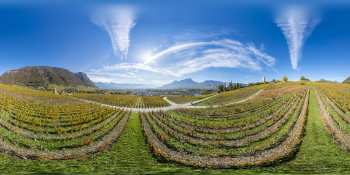 Le vignoble de Chignin